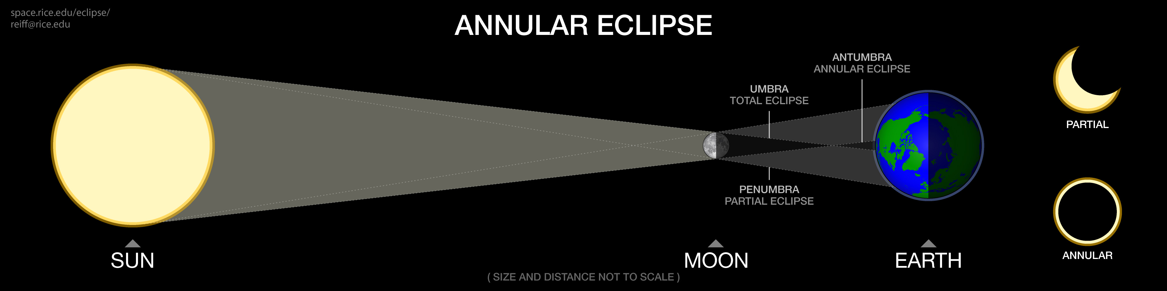 A diagram of an annular solar eclipse. The Sun is on the left, the Moon in the middle, and the Earth on the right. Because the Moon is far enough away from the Earth, the point at the tip of the umbra (the total eclipse shadow) is out in space, not on Earth's surface, meaning that the full Sun is never blocked when viewed from Earth. Areas of maximum eclipse see a bright ring of the Sun visible around the Moon.